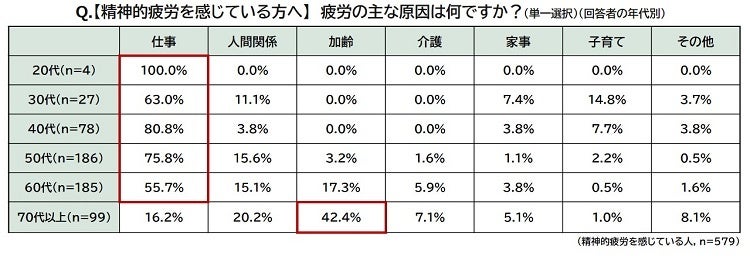 （精神的疲労を感じている人へ）疲労の主な原因は何ですか？（回答者の年代別）