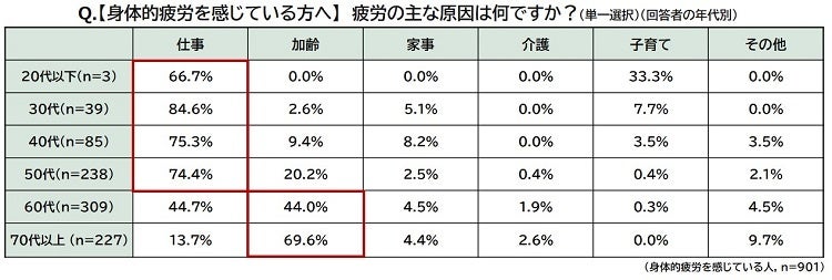 （身体的疲労を感じている人へ）疲労の主な原因は何ですか？（回答者の年代別）