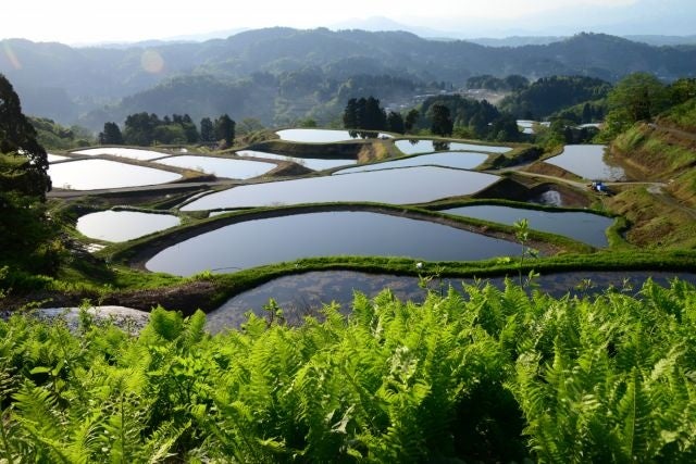 山古志棚田・棚池