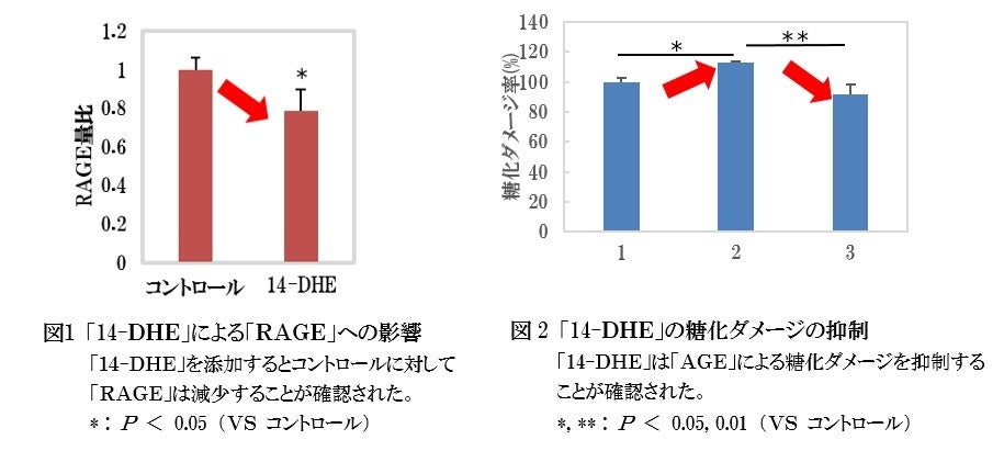 【ファンケル】白麹菌成分の新知見　「糖化ダメージ」を抑制する機能を確認