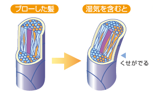 美容師約400人に“湿気が気になる時期の髪悩み”について調査を実施