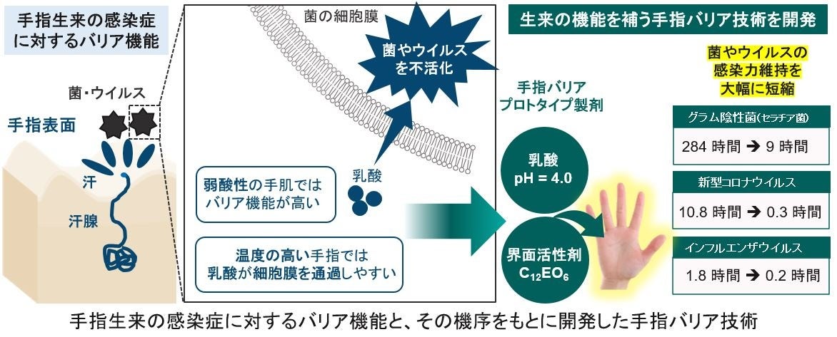 菌・ウイルスに対する“手指バリア”機能を補う技術を開発