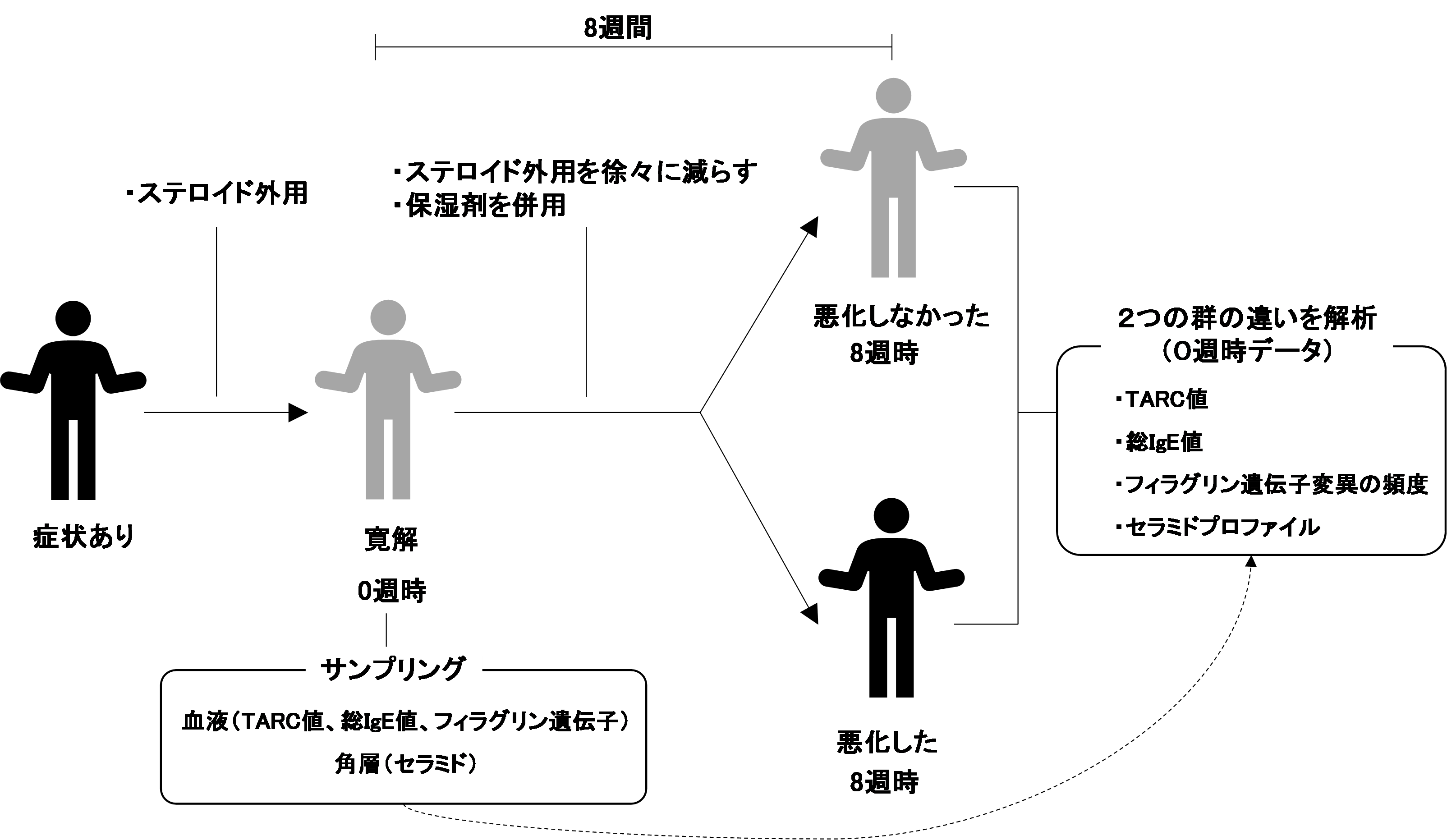 角層セラミドプロファイルがアトピー性皮膚炎の寛解*1指標となる可能性を発見