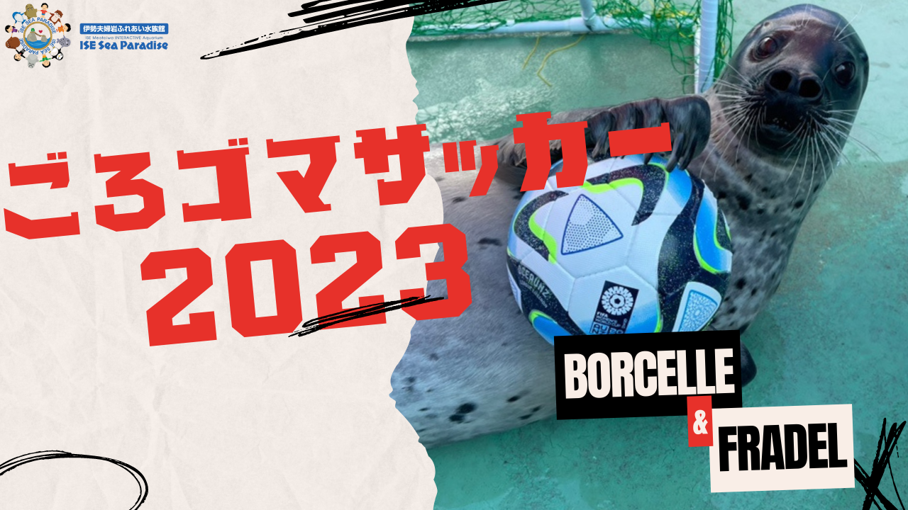 【がんばれ日本！！】伊勢シーパラダイスで「ごろゴマサッカー2023」を開幕します！