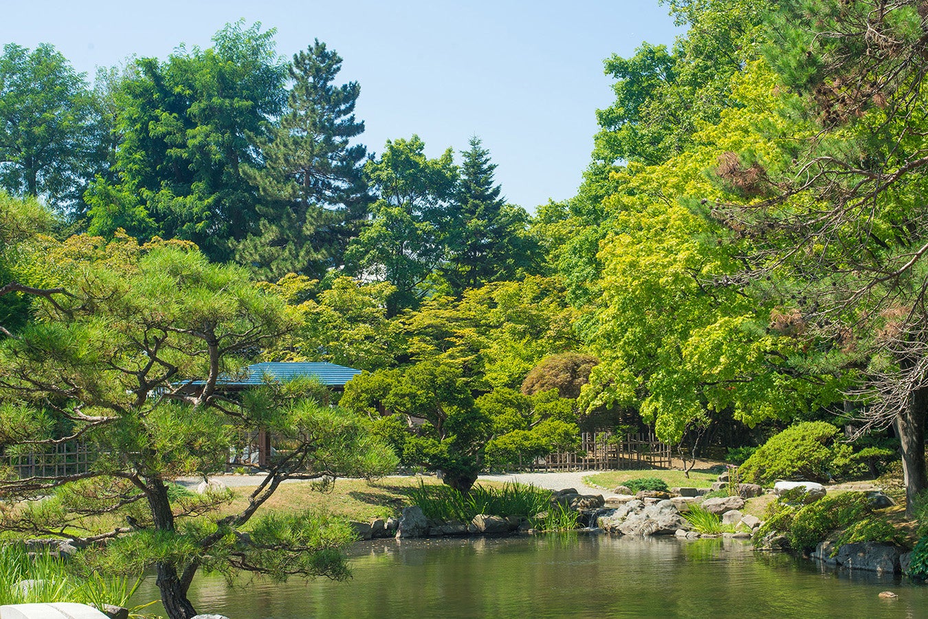 中島公園 日本庭園