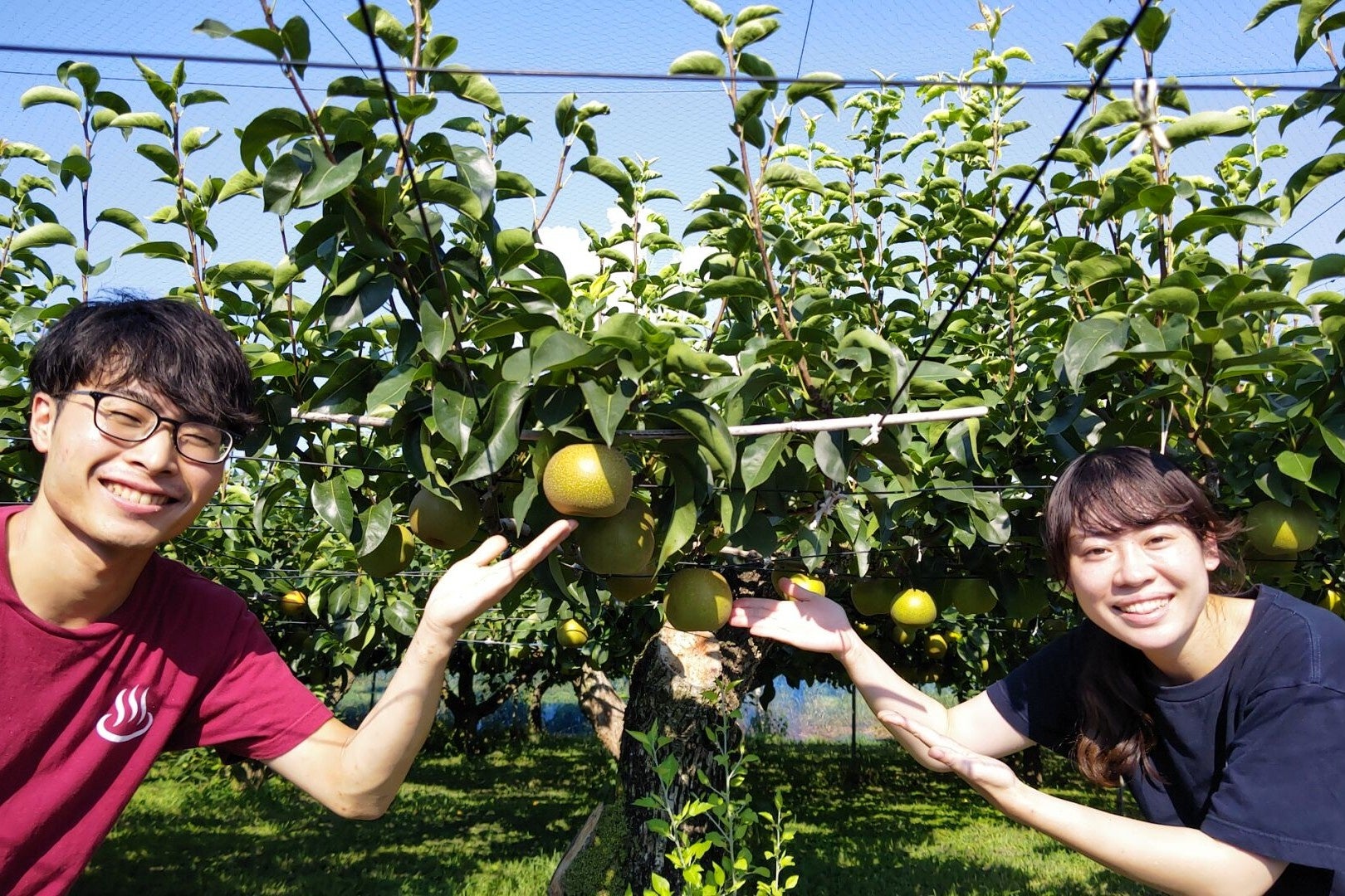 昭和レトロな温泉銭湯 玉川温泉にて「梨風呂」を実施。埼玉県東松山産の規格外の梨を有効活用します