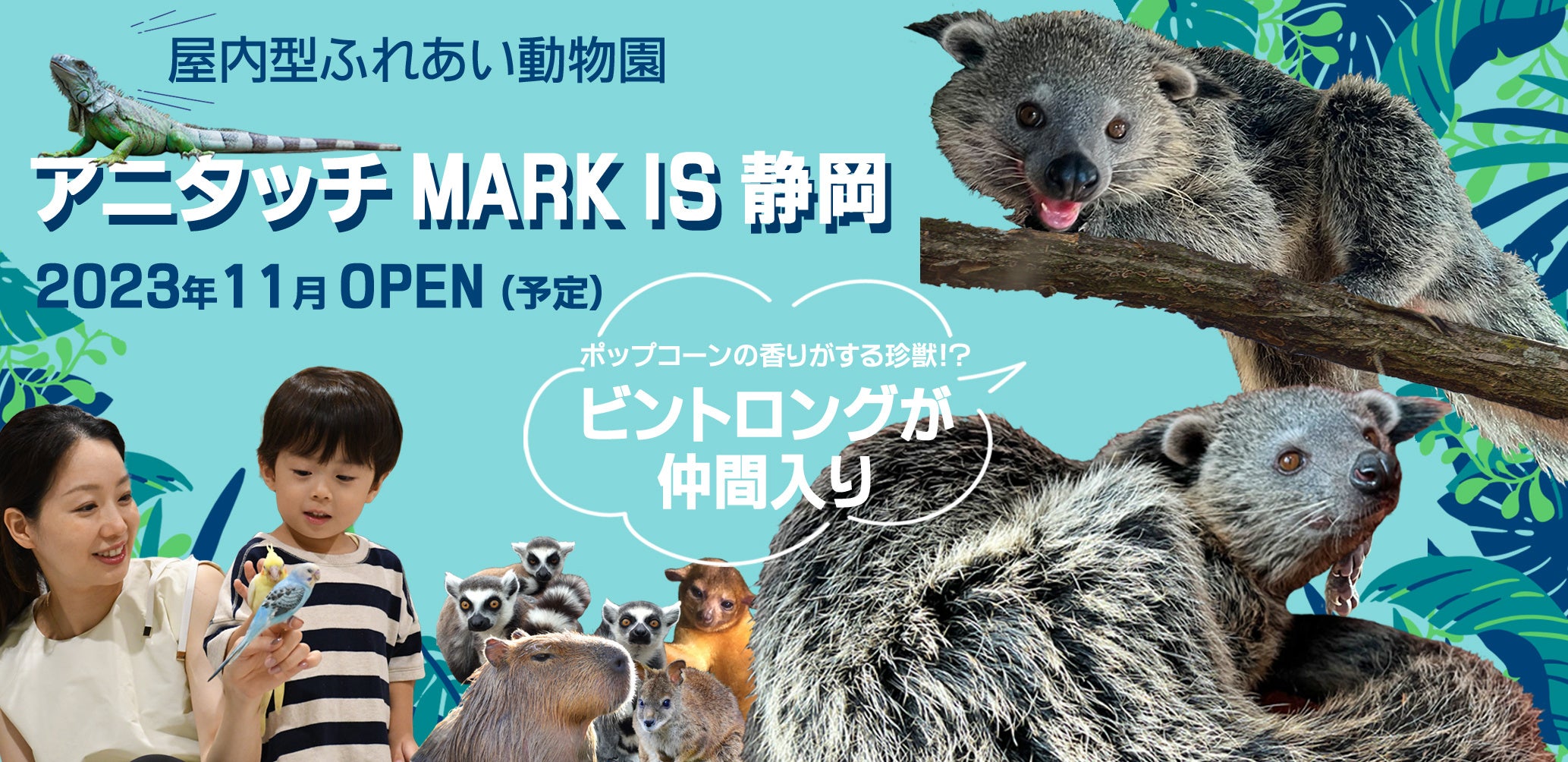 珍獣！「ビントロング」が仲間入り　屋内型ふれあい動物園「アニタッチ」MARK IS 静岡2023年11月オープン予定