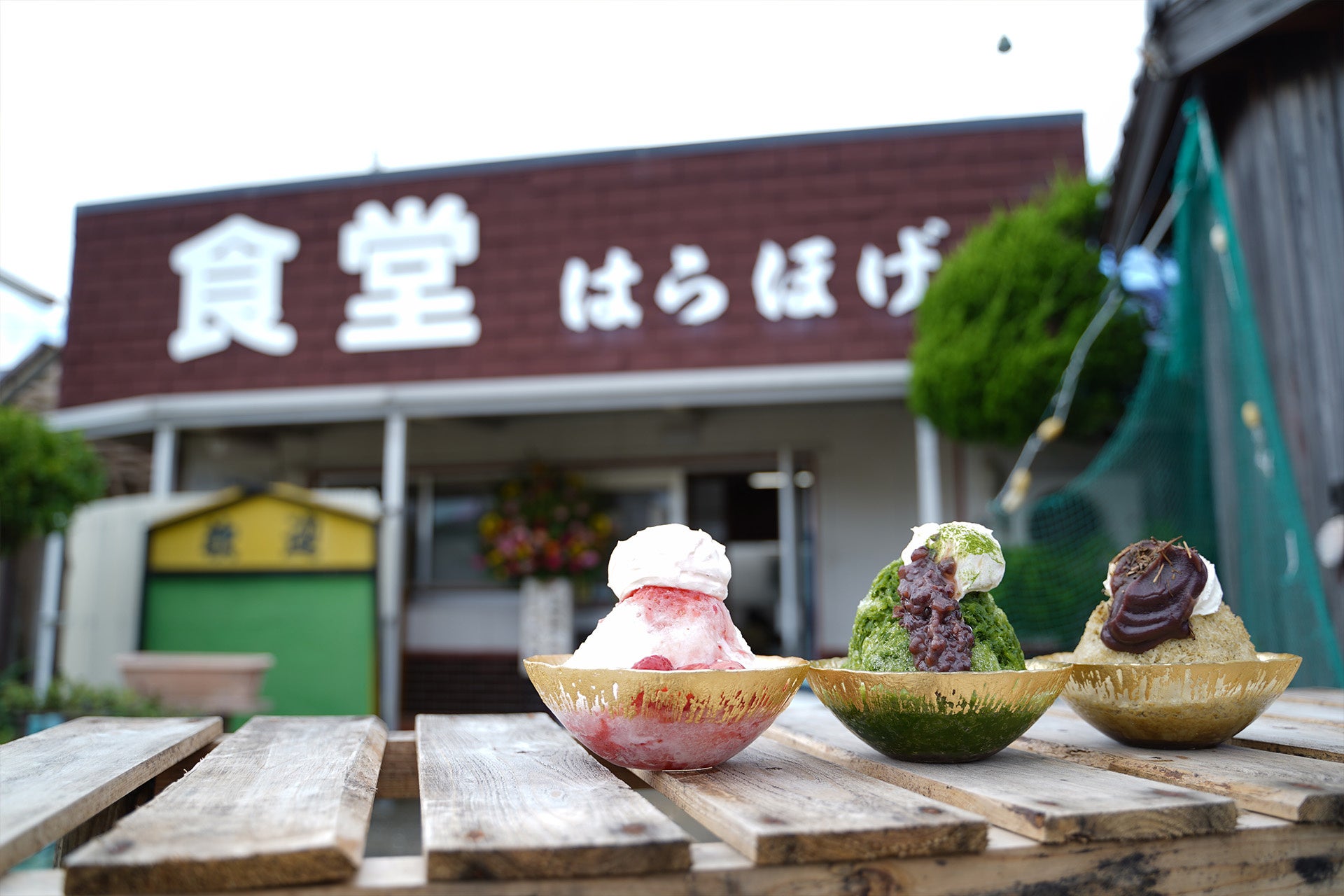 【長崎・壱岐観光】ウニをふんだんに使った郷土料理と海の幸が味わえる半世紀にわたり、地元壱岐島の地元民や観光客に愛されてきた名店「うにめし食堂 はらほげ」が2023年7月にリニューアルオープン！