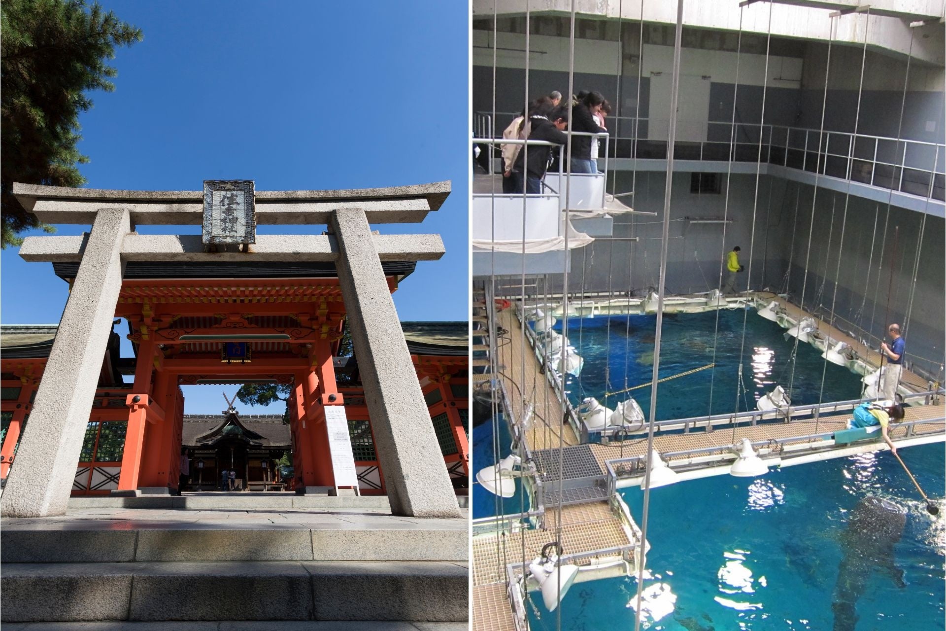 左：住吉大社＆四天王寺 開運ツアー　右：海遊館 ジンベエバックヤード &見学ツアー