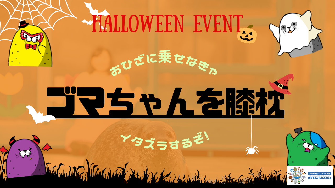 【今年もやってきました！！】大人気イベント「ゴマちゃんを膝枕体験」がハロウィンイベントとして帰ってきました！