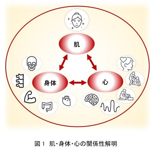 資生堂、理化学研究所と共同で、肌・身体・心の関係性に基づく新規肌予測モデルを開発　～一人ひとりの自分らしい美への道標となる独自アルゴリズム構築へ応用～