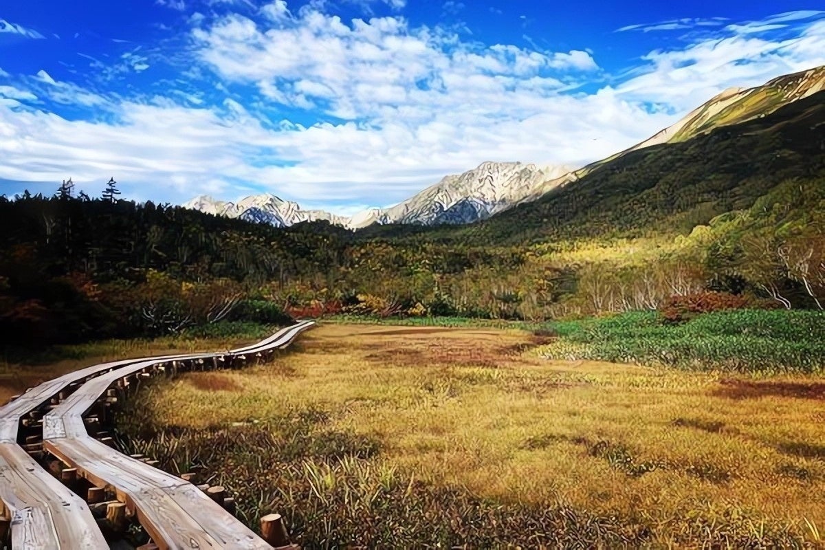 湿原の草紅葉から始まる紅葉。自然園内には 一周約5.5kmの木道が整備されています