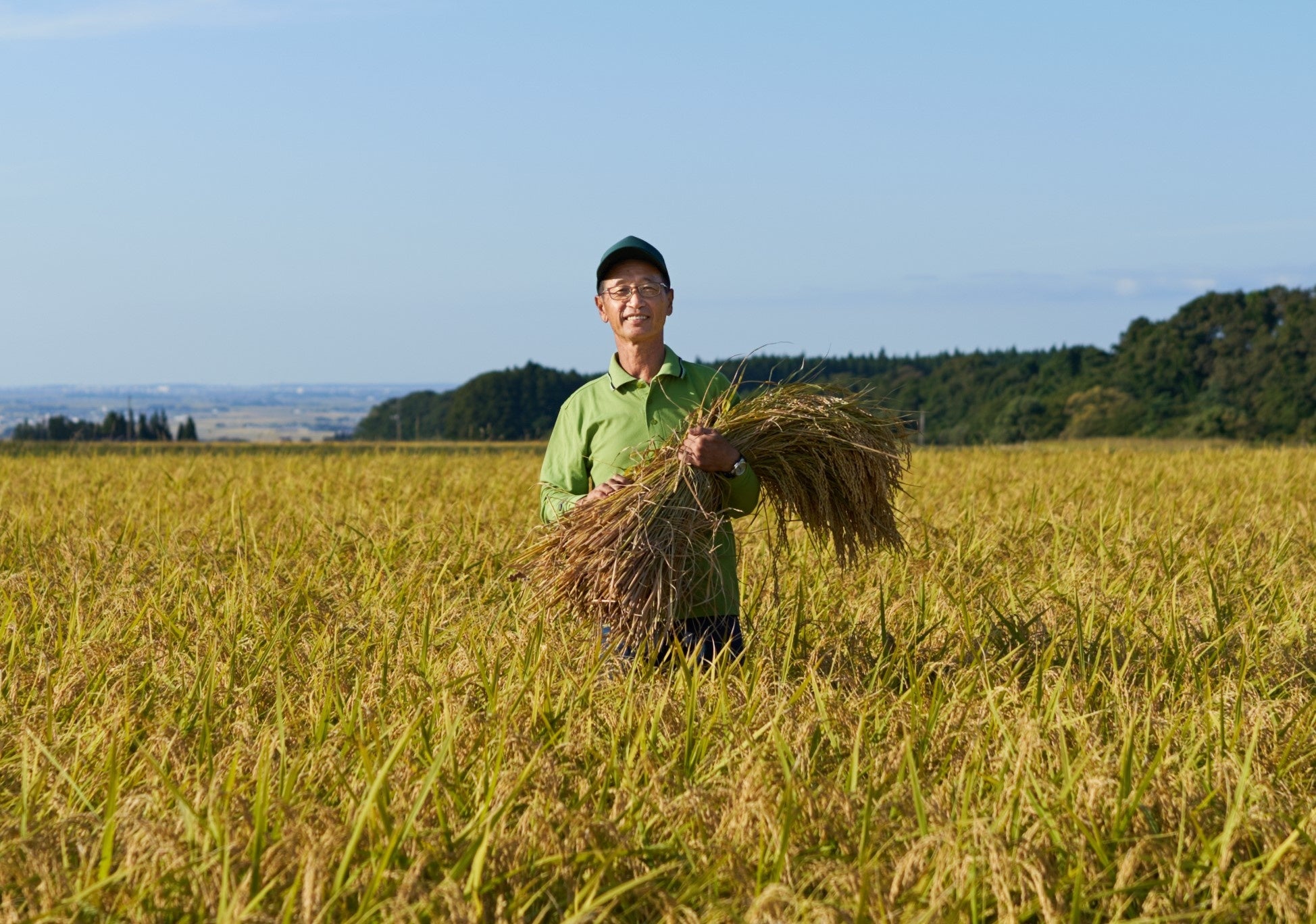 ▲山形県庄内産ひとめぼれ生産者の斎藤さん