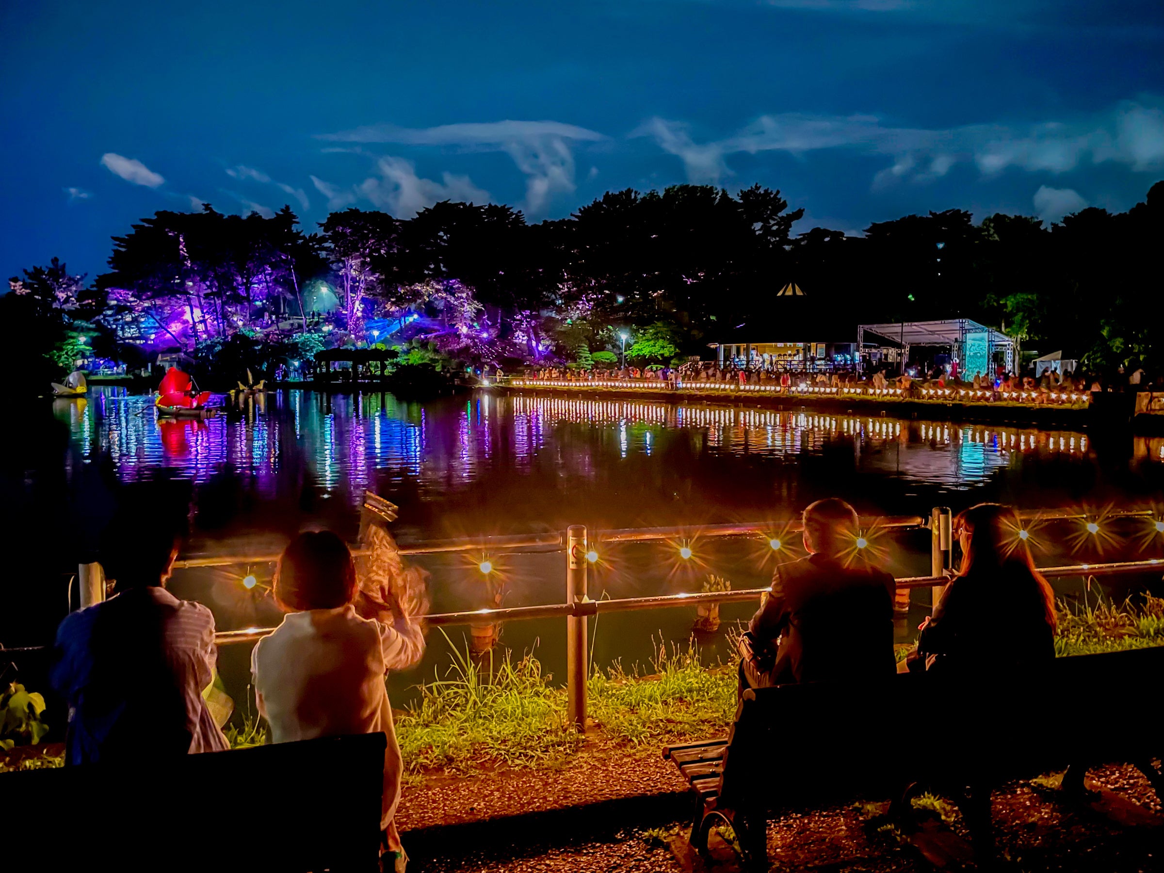 公園内にある山の木々をスクリーンとしたライトアップ