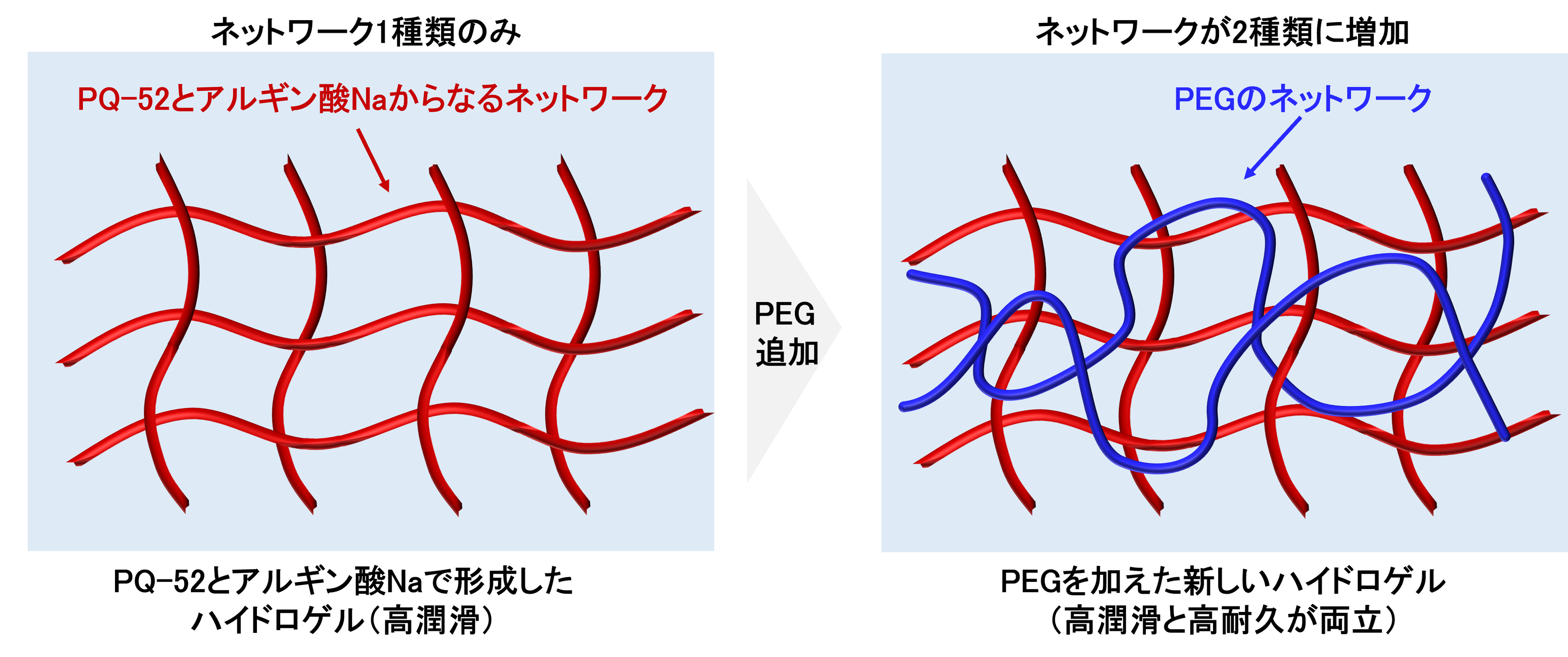 失われたキューティクルの代わりに髪を守り続ける潤滑性と耐久性を両立するヘアケア新素材