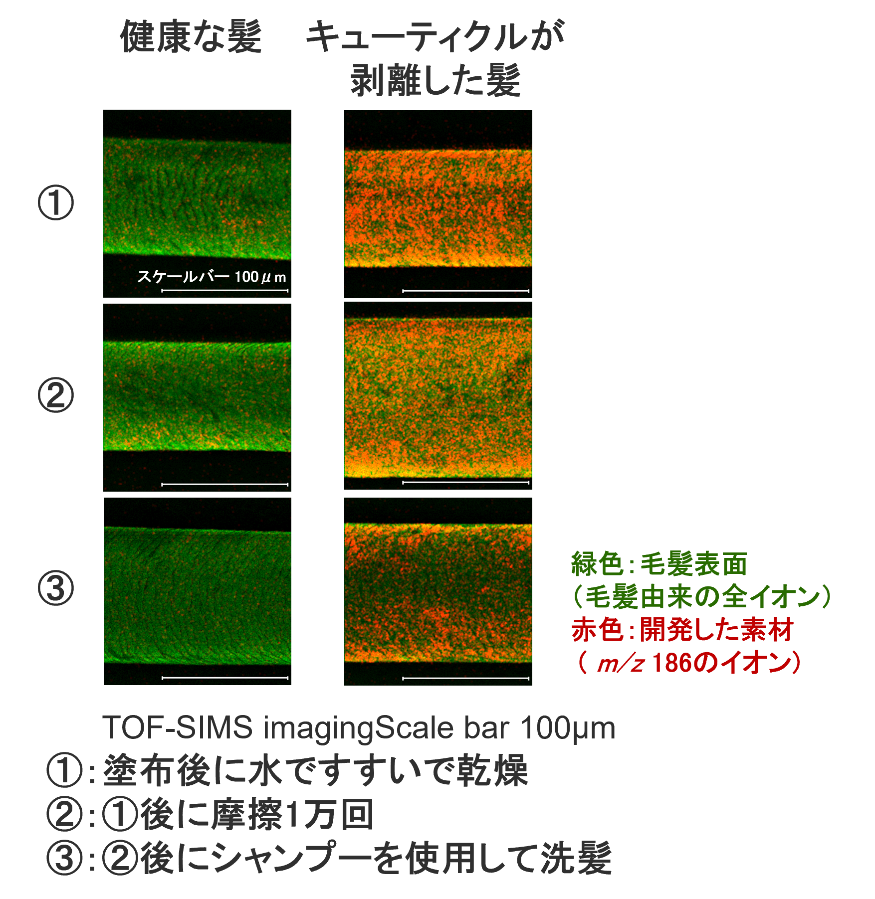 図2毛髪表面への新素材の残留性の比較