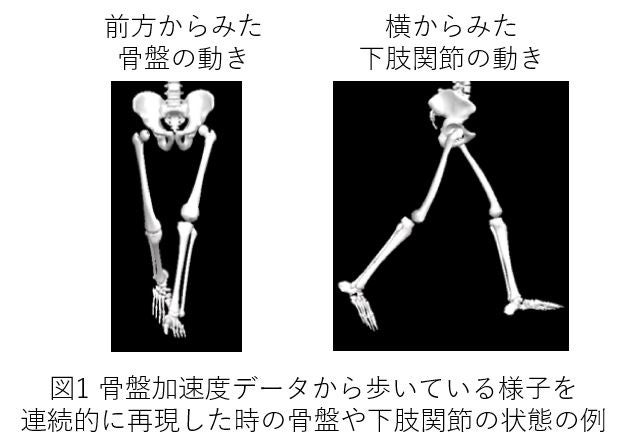 関節の動きを解析する「歩行メカニクスモニタリング技術」を確立