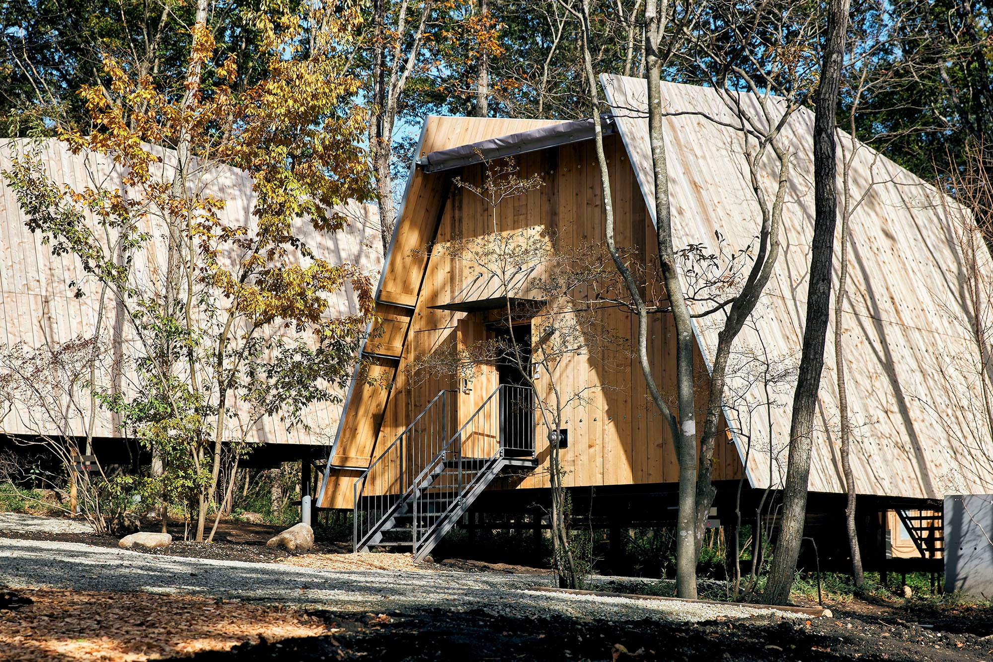 移植した木々とSANU CABIN、敷地内の転石などは土留めや景石として活用