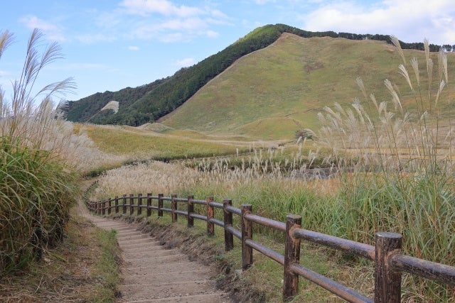 曽爾高原　イメージ