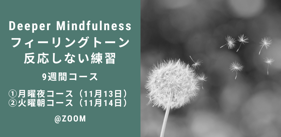 【日本初開催・マインドフルネス新コース開講】Deeper Mindfulness 〜反応しない練習〜