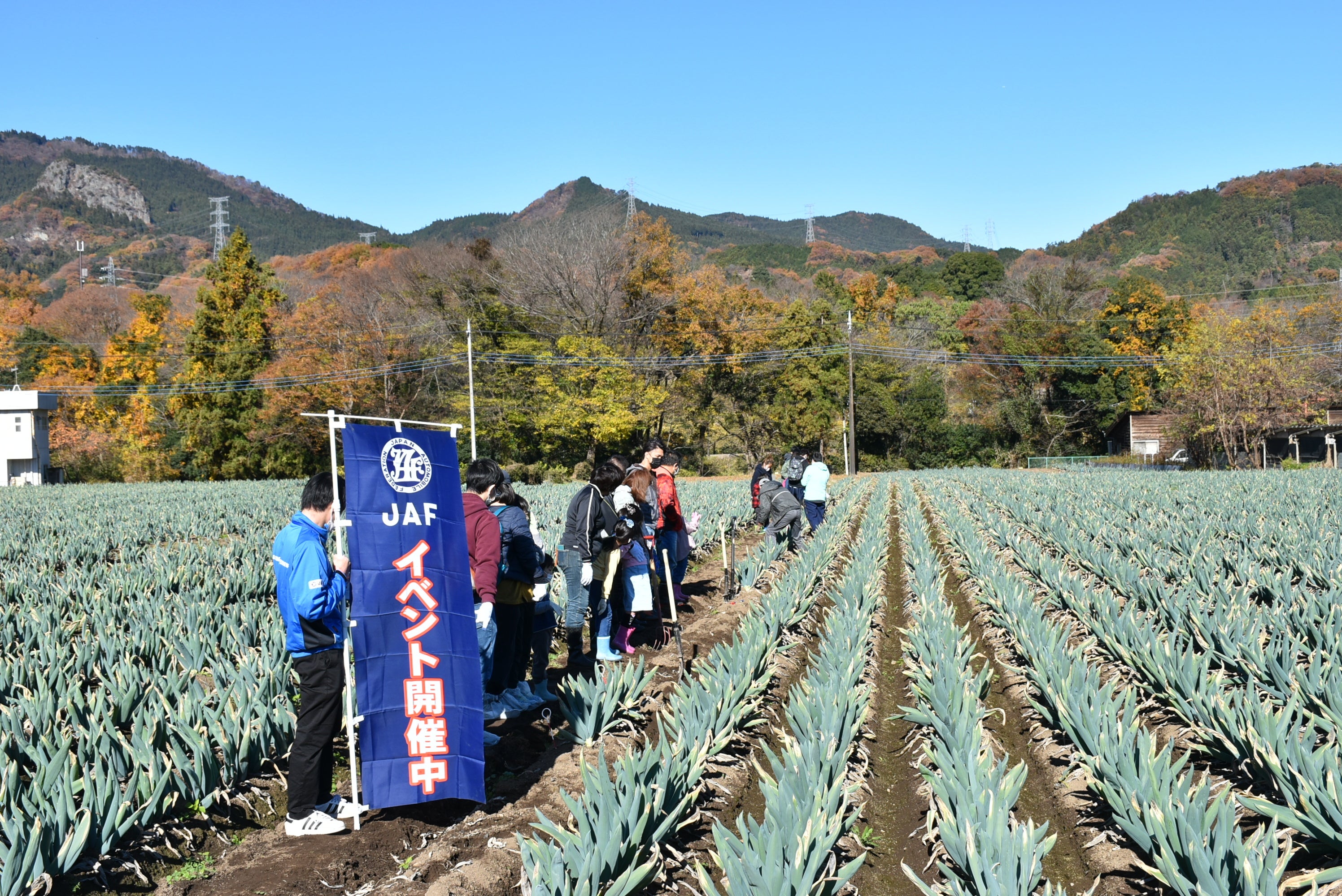 【JAF群馬】「下仁田ネギの収穫体験と大名焼き」イベントを開催