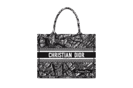 DIOR BOOK TOTE バッグ ミディアム Plan de Paris エンブロイダリー ¥470,000