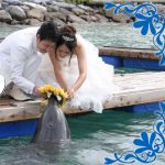【イルカと結婚式】幸運なカップル限定の『プライベートドルフィンセレモニー』♡