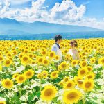 【ひまわりウェディング】２人だけの素敵なひまわりウェディングフォト実例７選！