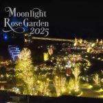 【茨城 イルミネーション2025-2026】カップル必見！茨城県のおすすめイルミネーションデートスポット8選！入場無料な場所から穴場スポットまで紹介◎