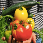 おうち時間を楽しむ✧初心者向け家庭菜園の野菜リスト５選をご紹介♪♬