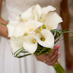 結婚式ブーケの花材と花言葉まとめ Dressy ドレシー ウェディングドレスの魔法に Byプラコレ