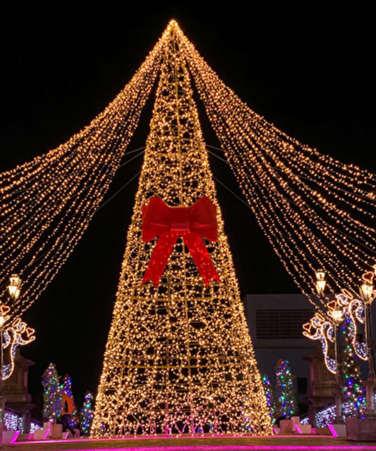 和歌山で ちょっぴり贅沢な１泊２日のクリスマスデートをご紹介いたします Dressy ドレシー ウェディングドレスの魔法に Byプラコレ Part 3
