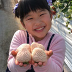 ♡苺が美味しい季節到来！♡神奈川県のオススメいちご狩りにオススメなスポットのご紹介☆
