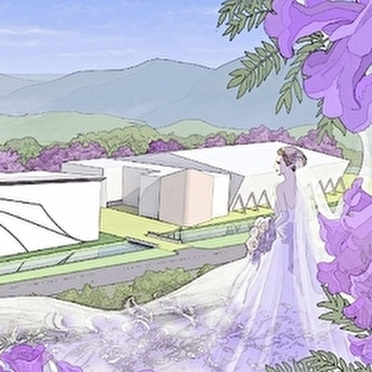 桂由美のウェディングドレスミュージアム Dressy ドレシー ウェディングドレスの魔法に Byプラコレ