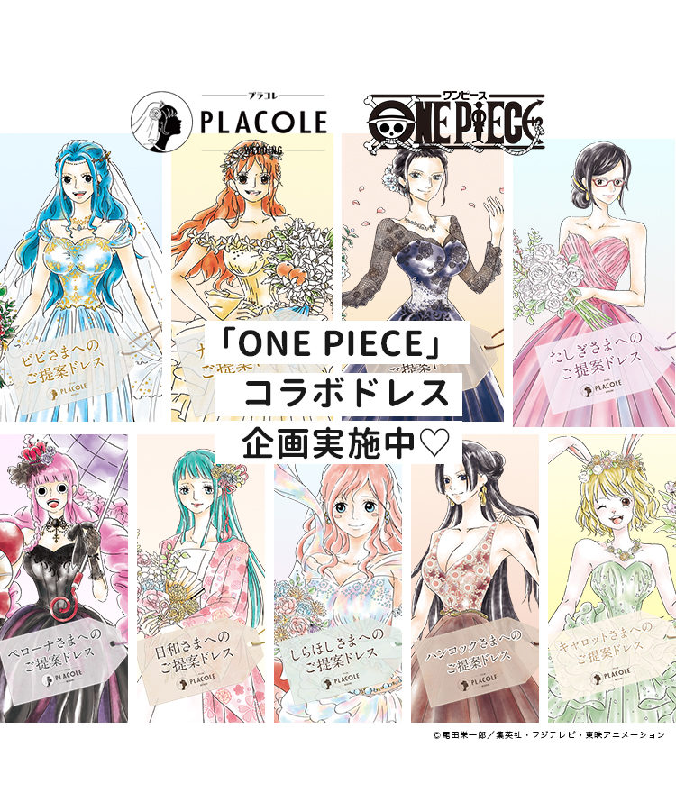 大人気アニメ「ONE PIECE(ワンピース)」コラボ企画第9弾、プラコレから