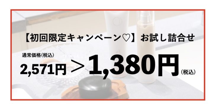 【初回限定キャンペーン】お試し詰め合わせ通常価格２５７１円を１３８０円に