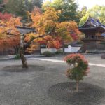 【広島 紅葉スポット】紅葉とカフェが楽しめる！秋の絶景カフェ6選！