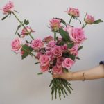 【プロポーズには薔薇の花束を。】本数や色味によって変わる花言葉に想いを乗せて、大切な日には、薔薇の花束を贈りませんか？