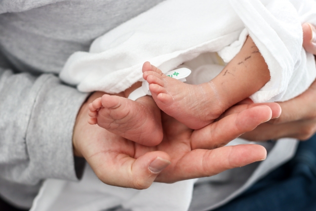 香川 助成金・補助金