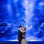 『すみだ水族館』で海のいきものたちと一緒に特別な結婚写真を。スタジオAQUA浅草店で予約受付スタート