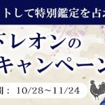『突然ですが占ってもいいですか』木下レオンの縁起熊手と限定鑑定が貰える！ 公式サイトにて「酉の市キャンペーン」が開催中！