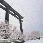 【和歌山 初詣】素敵な年始のスタートに初詣スポットをご紹介！☆