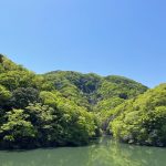 VISONフクロウをシンボルとした生物多様性のある森づくり