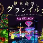 「伊豆高原グランイルミ」に高さ6mのクリスマスツリーが登場