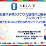 【岡山大学】ムスカリン受容体依存シナプス可塑性の仕組みとアルツハイマー病との関係 〜学習と記憶を司るNMDA受容体依存シナプス可塑性との統一的理解〜