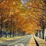【滋賀県 ロケ地】あの芸能人のあの名場面はこの場所で撮影された！ドラマ・映画ロケ地10選♡