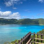 奄美ゆかりの方々へ【メッセージ寄付広告募集！】奄美の魅力を世界に発信！あなたも「しまっちゅ」の「ジャパン・パレード2023」参加を応援しよう！