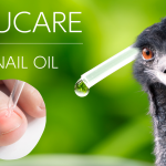 新発想の爪割れ予防！アスリートの爪を守るtsumeplusから「EMUCARE(エミュケア) 肌爪オイル」が新発売