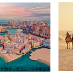 JAL、羽田=ドーハ線の新規開設を決定