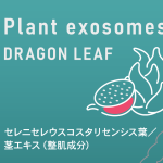 ドラゴンフルーツ葉茎由来抽出液を主原料とした化粧品「EXOTURAN（エクソトゥラン） オールインワンジェル100ml」新発売